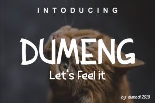 Dumeng: A Modern Display Font for Small Business Branding