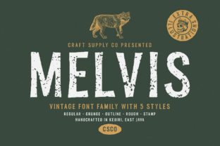 Melvis Family: A Vintage Display Font for Editorial Charm