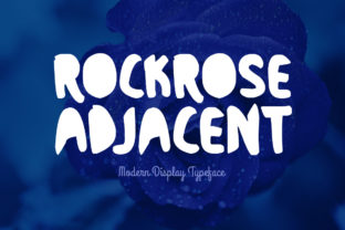 Rockrose Adjacent: A Modern Display Font for Branding