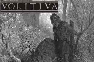 Volitiva: A Real-World Designer Review